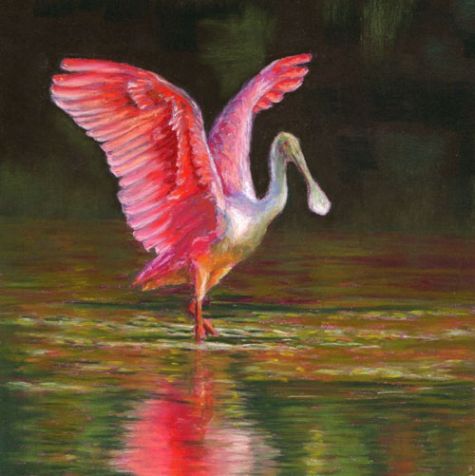 475x476 Roseate Spoonbill Revisited Shorebird Pastel Painting By Poucher - Roseate Spoonbill Painting