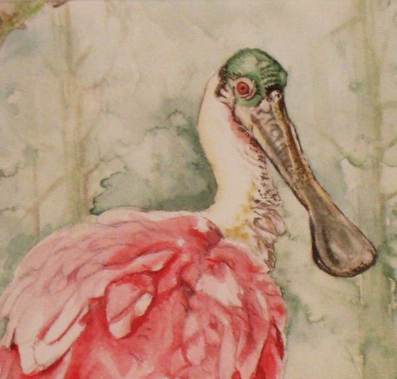 570x544 Roseate Spoonbill Spoonbill In Lotus Framed Spoonbill - Roseate Spoonbill Painting