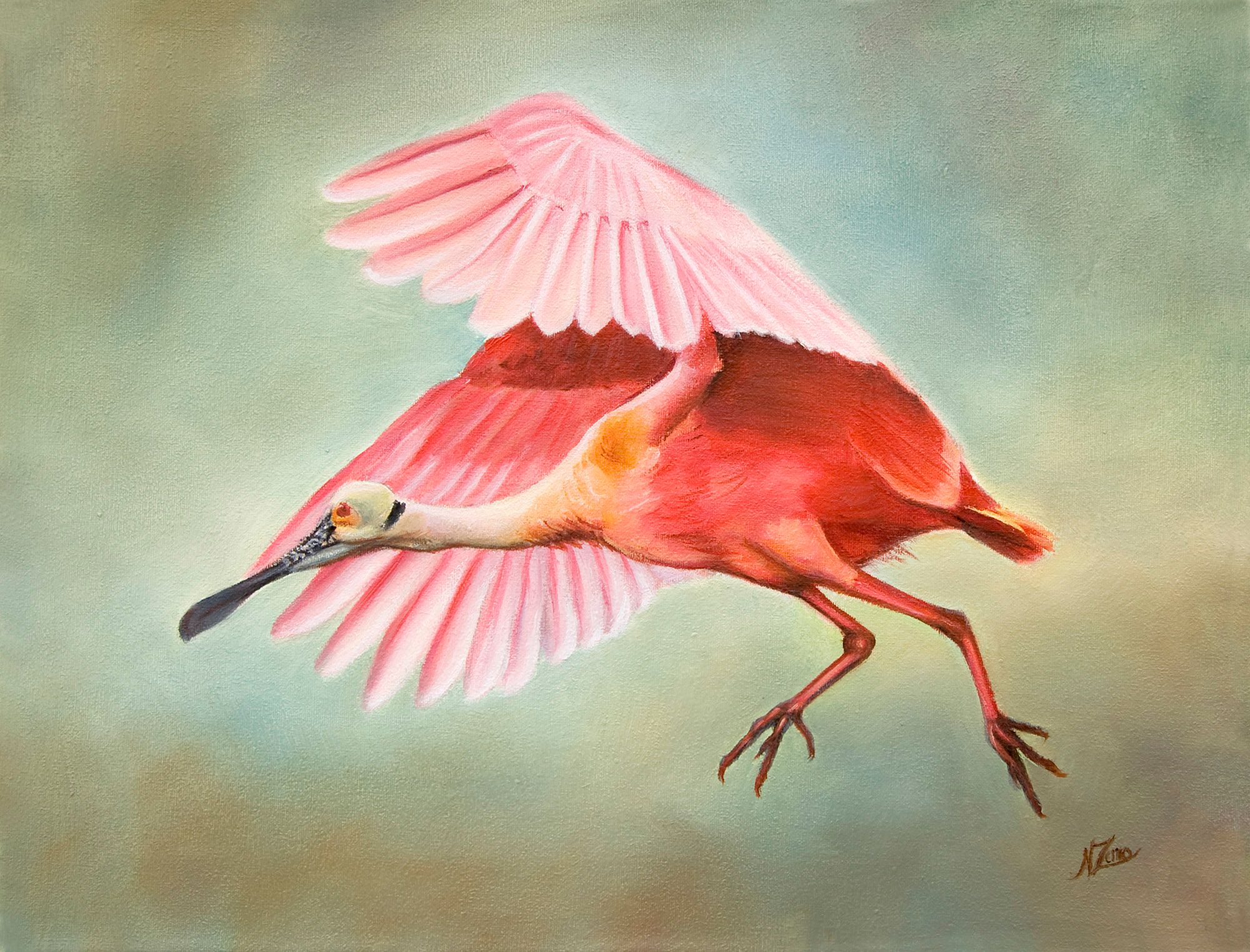 2000x1524 Roseate Spoonbill Painted In Oil Steemit - Roseate Spoonbill Painting
