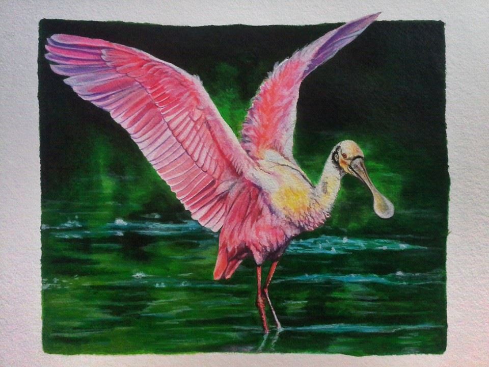 960x720 Cell Phone Snap Of Roseate Spoonbill Painting What The Spiders - Roseate Spoonbill Painting