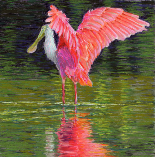500x504 Pastel Painting Roseate Spoonbill Shorebird Painting By Poucher - Roseate Spoonbill Painting