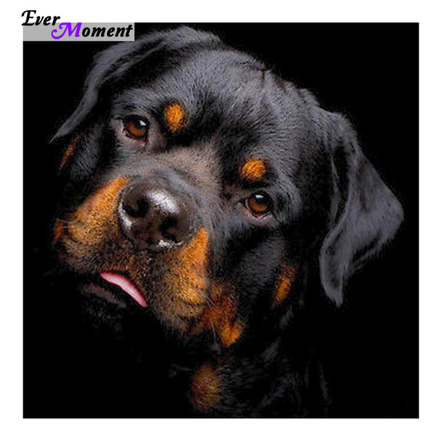 Rottweiler Painting