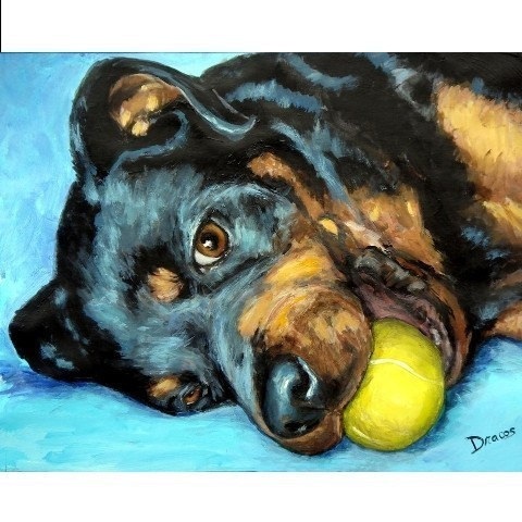 480x480 Rottweiler Art Print Of Original Painting By Dottie Dracos - Rottweiler Painting