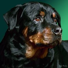 236x236 Rottweiler Painting - Rottweiler Painting