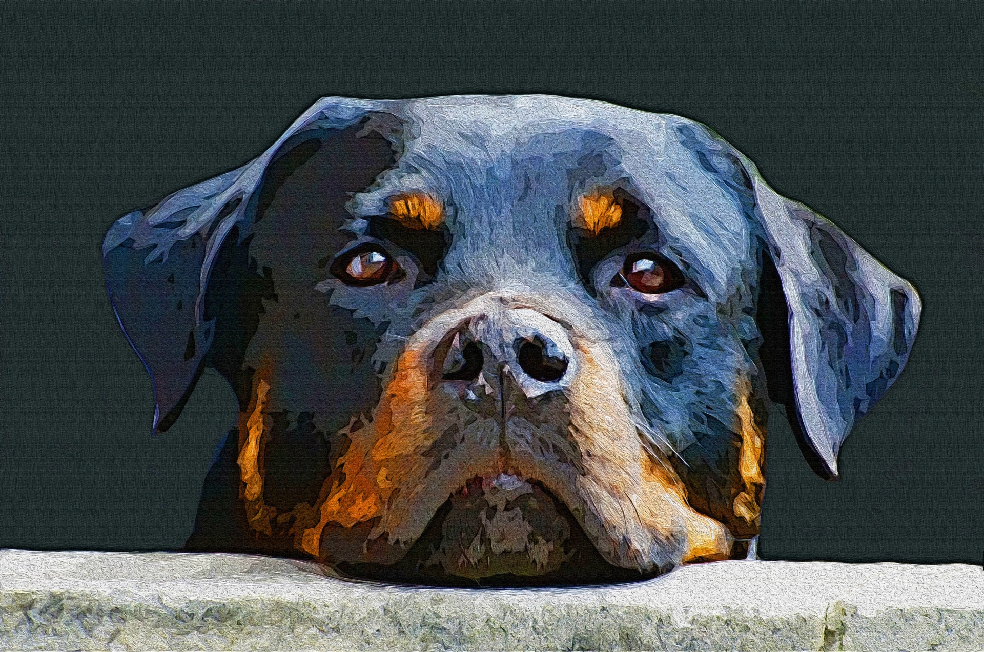 1920x1272 Digitally Painted Rottweiler Dog Free Stock Photo - Rottweiler Painting