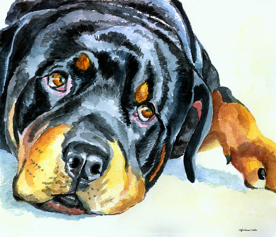 900x773 Rottweiler Painting By Lyn Cook - Rottweiler Painting