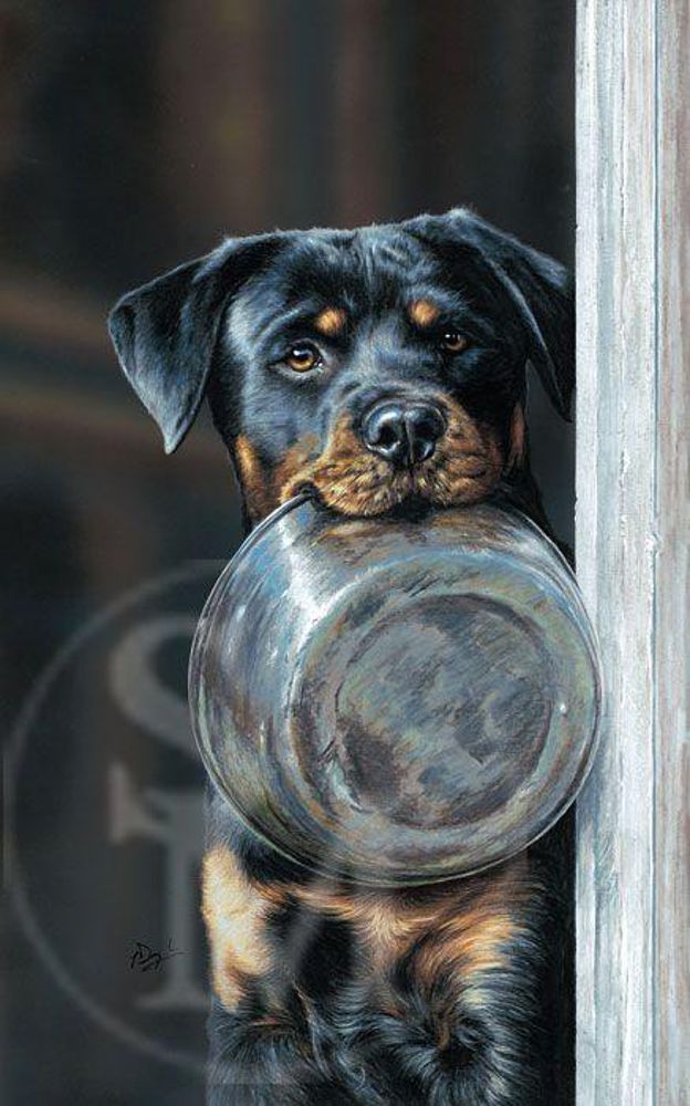 624x1000 Rottweiler Painting By Paul Doyle - Rottweiler Painting