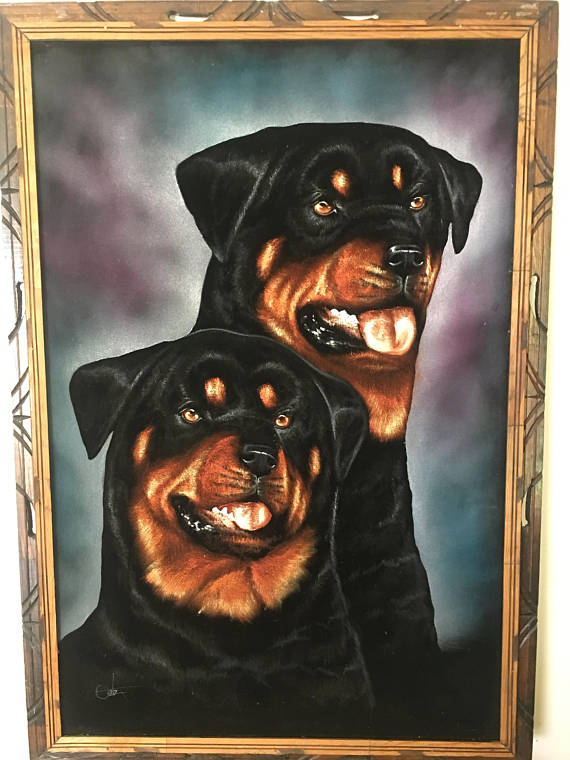 570x760 Velvet Rottweiler Painting Massive David Ortiz Original Signed - Rottweiler Painting