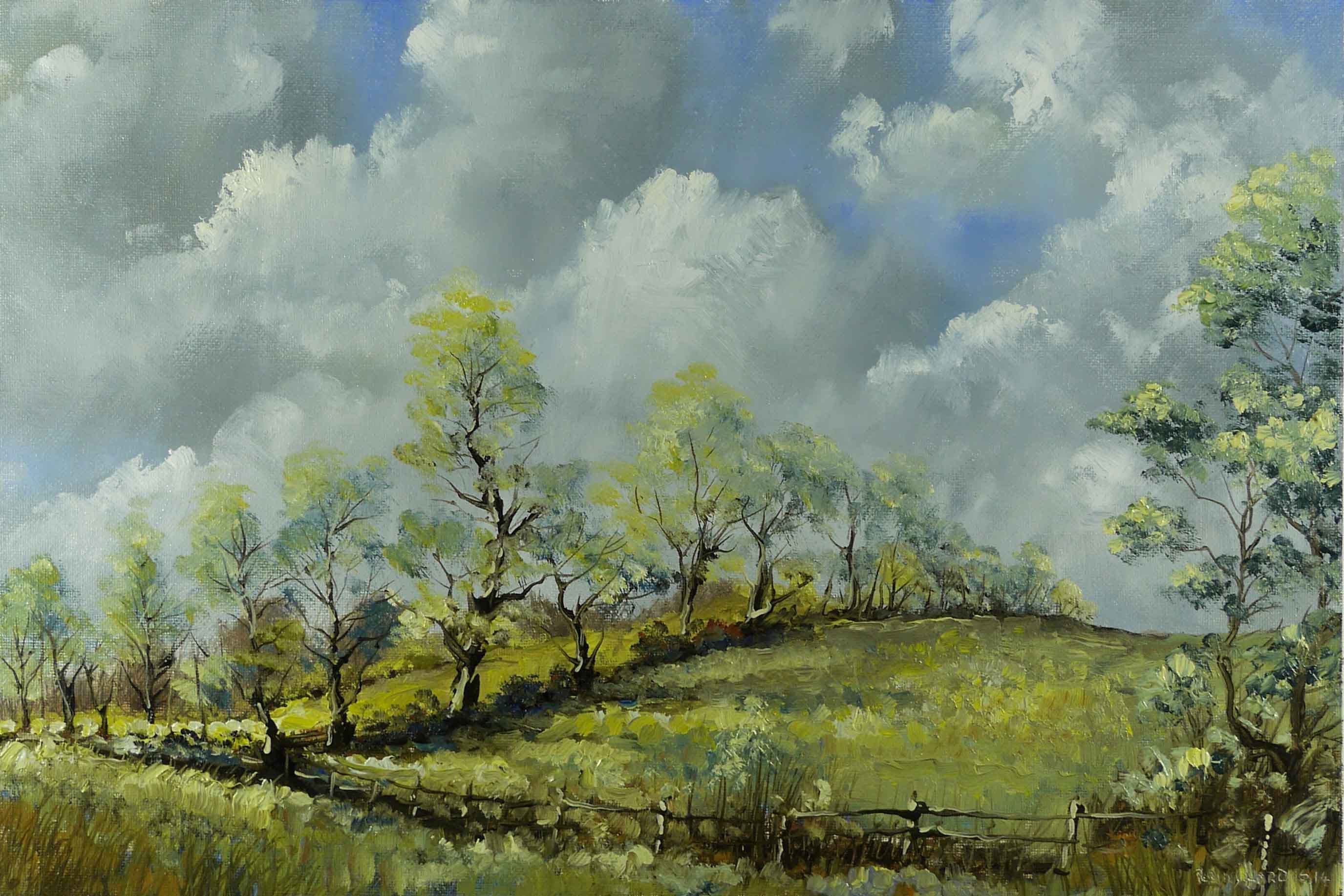 2751x1834 Rough Pasture - Rough Painting