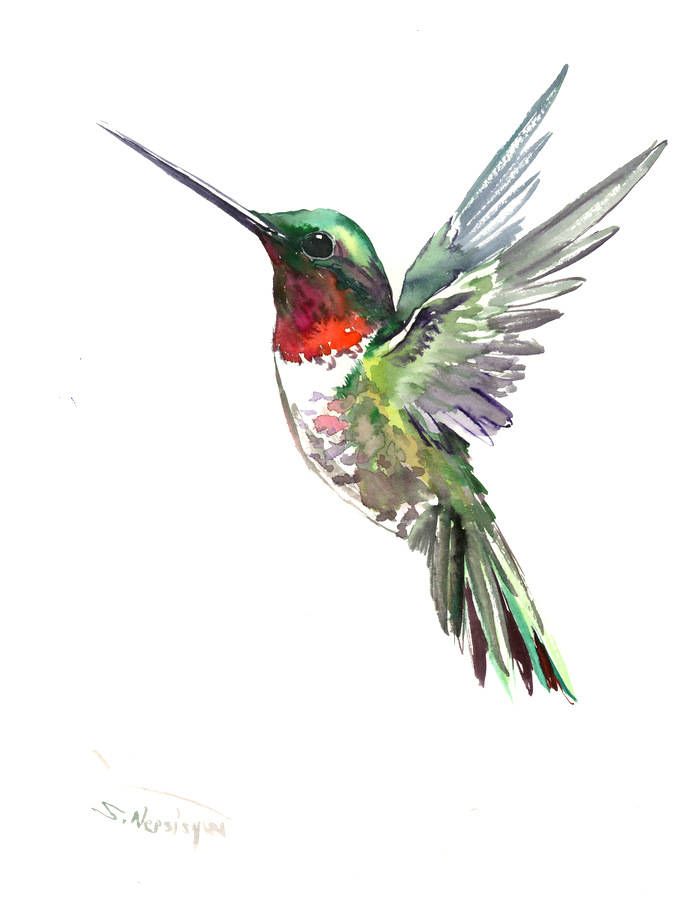693x900 Hummingbird Painting Ruby Throated Hummingbird - Ruby Throated Hummingbird Painting