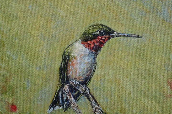 720x480 Male Ruby Throated Hummingbird Oil Painting The Antique Pooch - Ruby Throated Hummingbird Painting