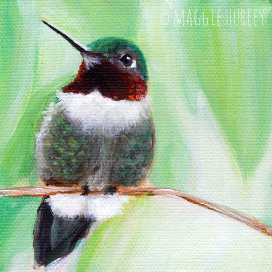 560x560 Ruby Throated Hummingbird - Ruby Throated Hummingbird Painting