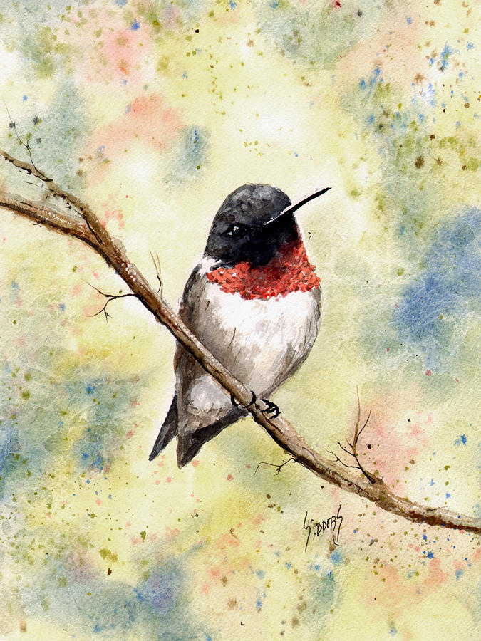 675x900 Ruby Throated Hummingbird Painting By Sam Sidders - Ruby Throated Hummingbird Painting
