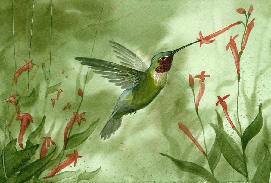 900x607 Ruby Throated Hummingbird Painting By Sean Seal - Ruby Throated Hummingbird Painting