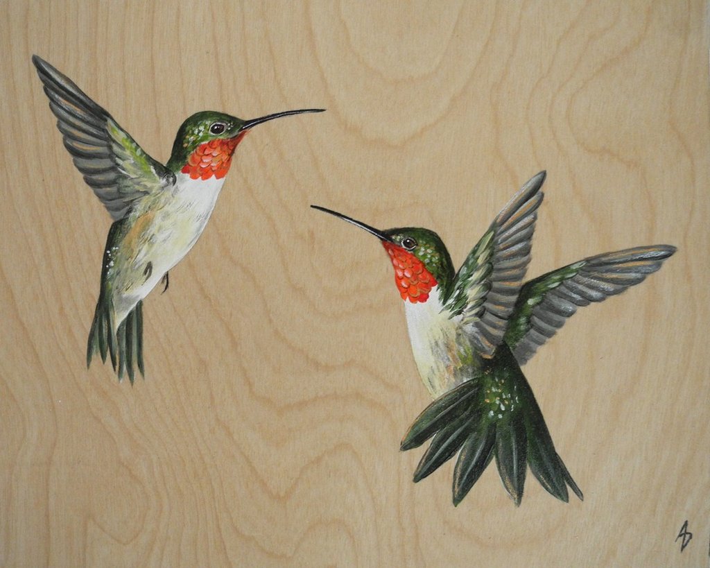 1024x819 Ruby Throated Hummingbirds, Wood Grain Realistic Wildlife Canvas - Ruby Throated Hummingbird Painting