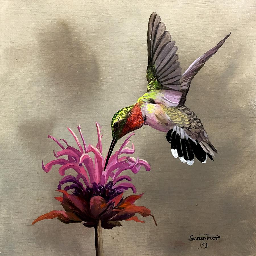 Ruby Throated Hummingbird Painting At PaintingValley.com | Explore ...