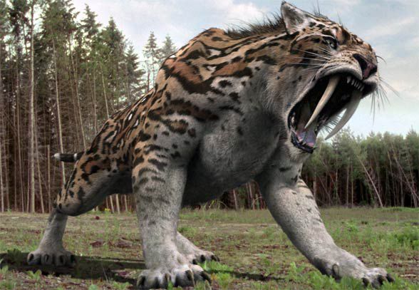 588x407 Saber Tooth Tiger Facts For Kids - Saber Tooth Tiger Painting