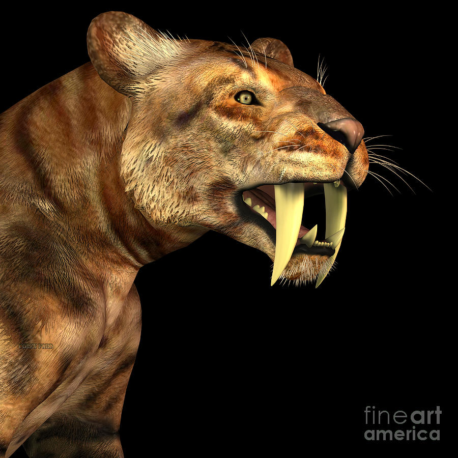 900x900 Saber Tooth Cat On Black Painting By Corey Ford - Saber Tooth Tiger Painting