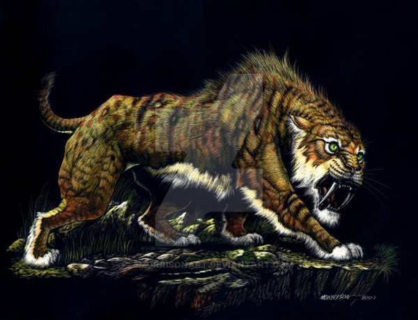 600x460 Sabertooth By Smorrisonart - Saber Tooth Tiger Painting