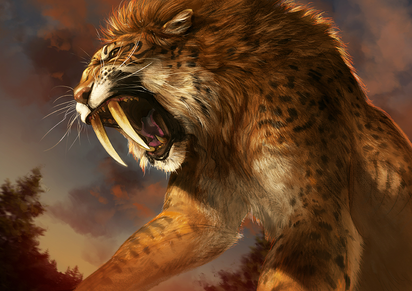 842x595 Catamancer Sabertooth By Tamberella - Saber Tooth Tiger Painting