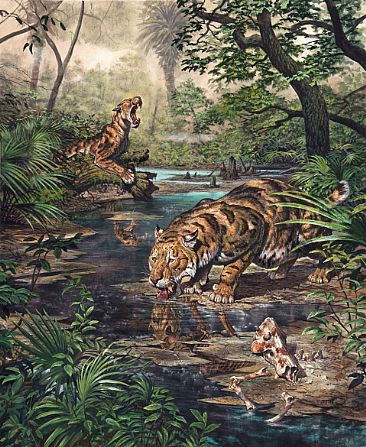 366x447 Xenosmilus Sabertooth - Saber Tooth Tiger Painting