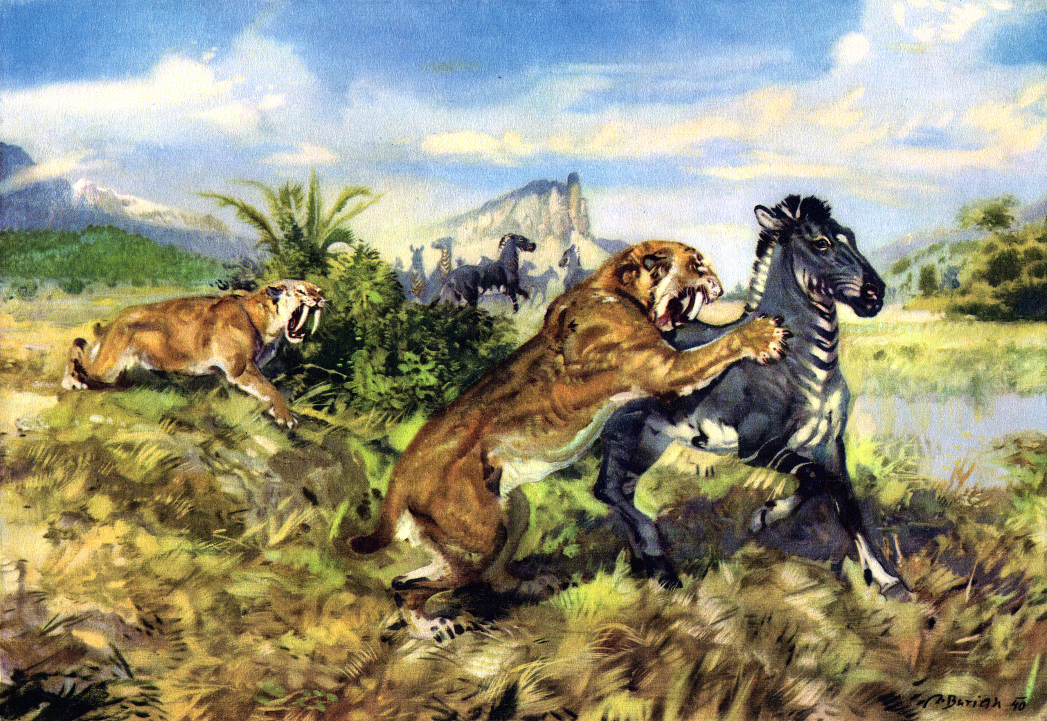 Тигр в древнем мире. Зденек Буриан (1905-1981). Зденек Буриан пещерный медведь. Палеохудожник Зденек Буриан. Зденек Буриан Гиенодон.