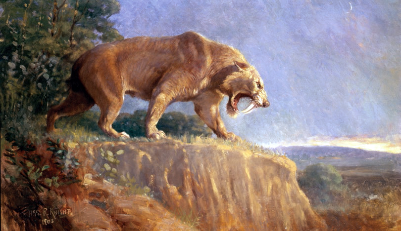 810x468 Filesmilodon Knight.jpg - Saber Tooth Tiger Painting
