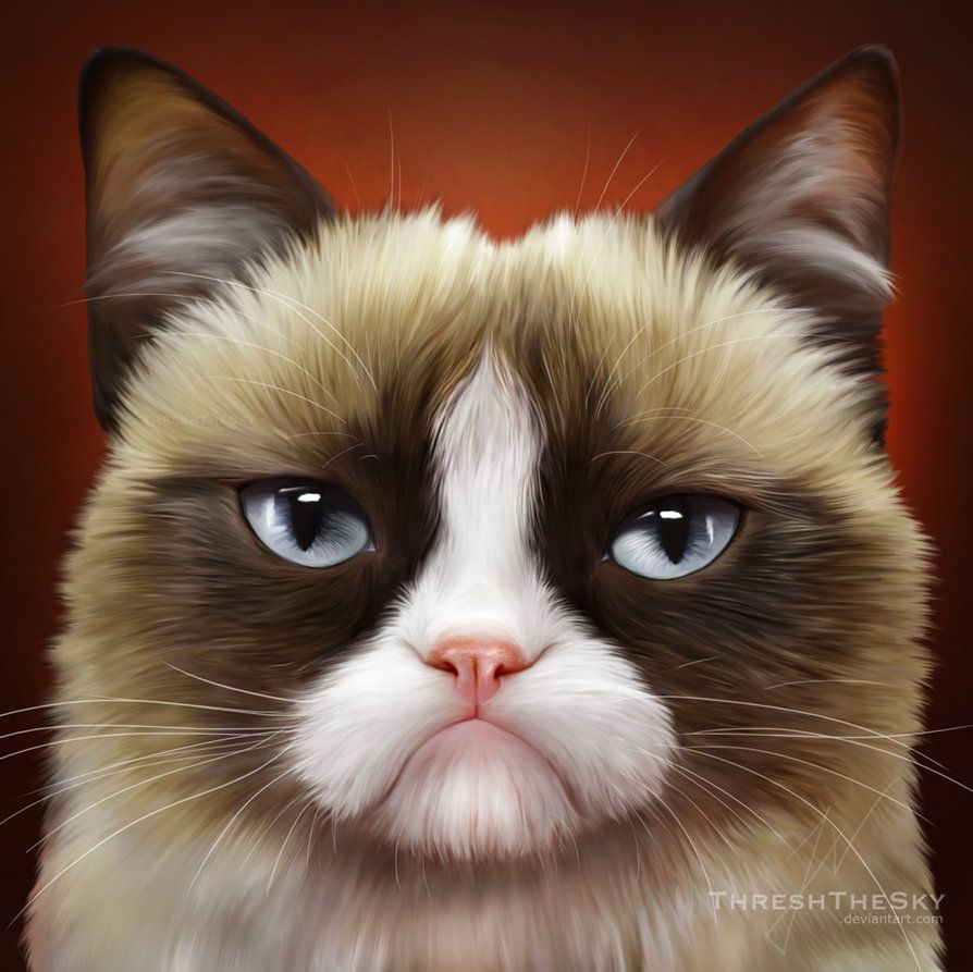 894x893 Grumpy Cat Painting By Threshthesky On Inspiration - Sad Cat Painting