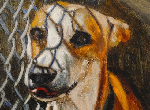 490x360 Two Dogs And A Novena An Act Of Dog Wall Of Shame, Portrait Of Hope - Sad Dog Painting
