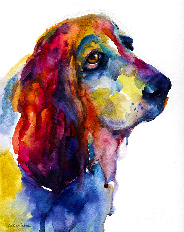 713x900 Brilliant Basset Hound Watercolor Painting Painting By Svetlana - Sad Dog Painting