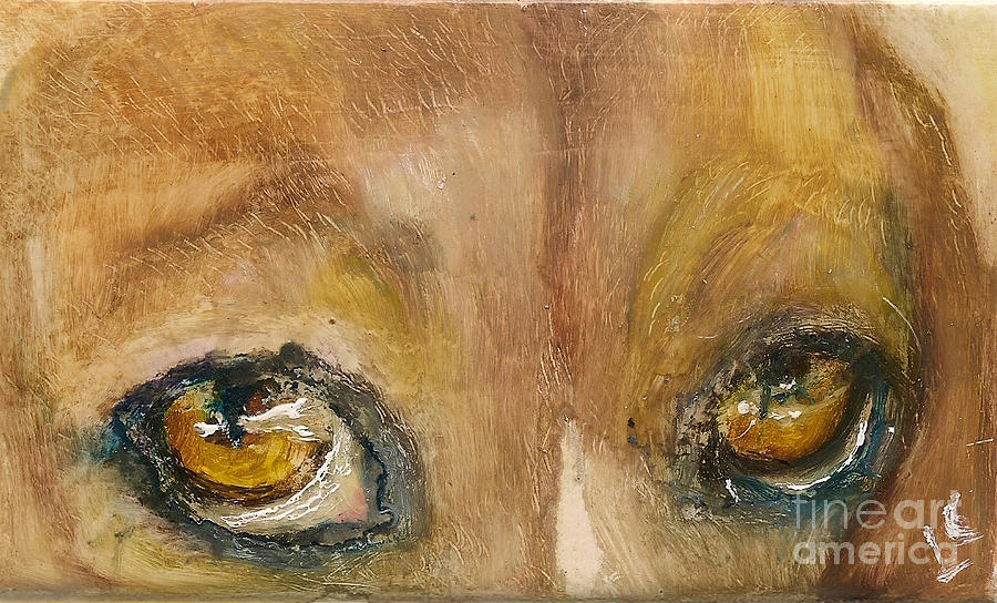 900x544 Sad Eyes Painting By Donna Chaasadah - Sad Eyes Painting