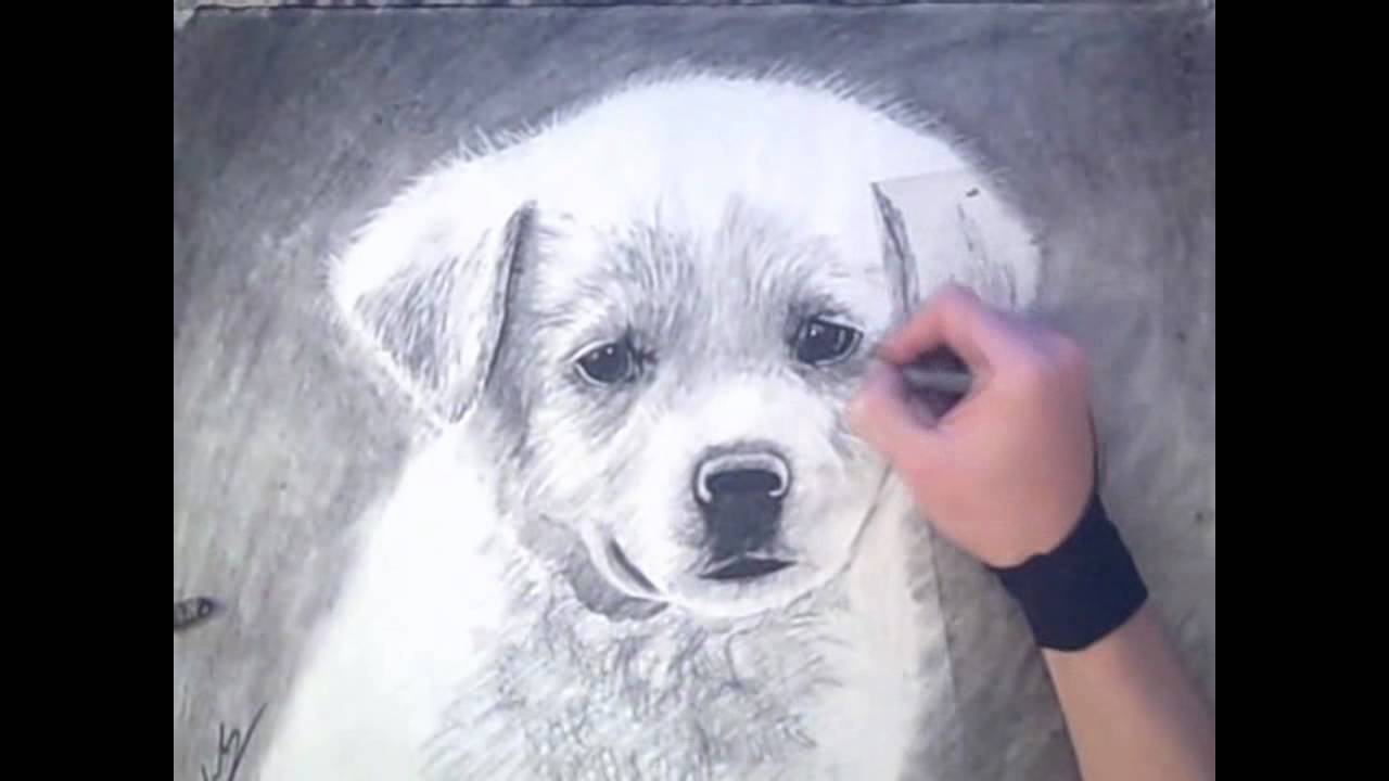 1280x720 Drawing Of A Very Sad Puppy Art Drawing Video - Sad Puppy Painting