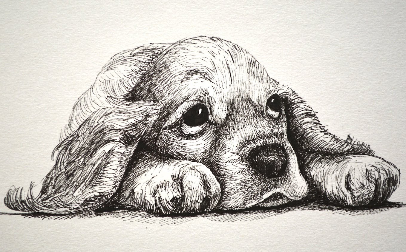 1359x845 How To Draw A Sad Puppy - Sad Puppy Painting
