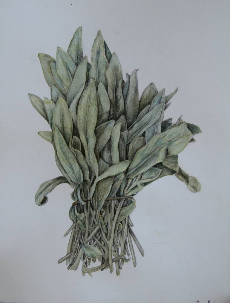 770x1011 Saatchi Art Sage Painting By Rory Running - Sage Painting