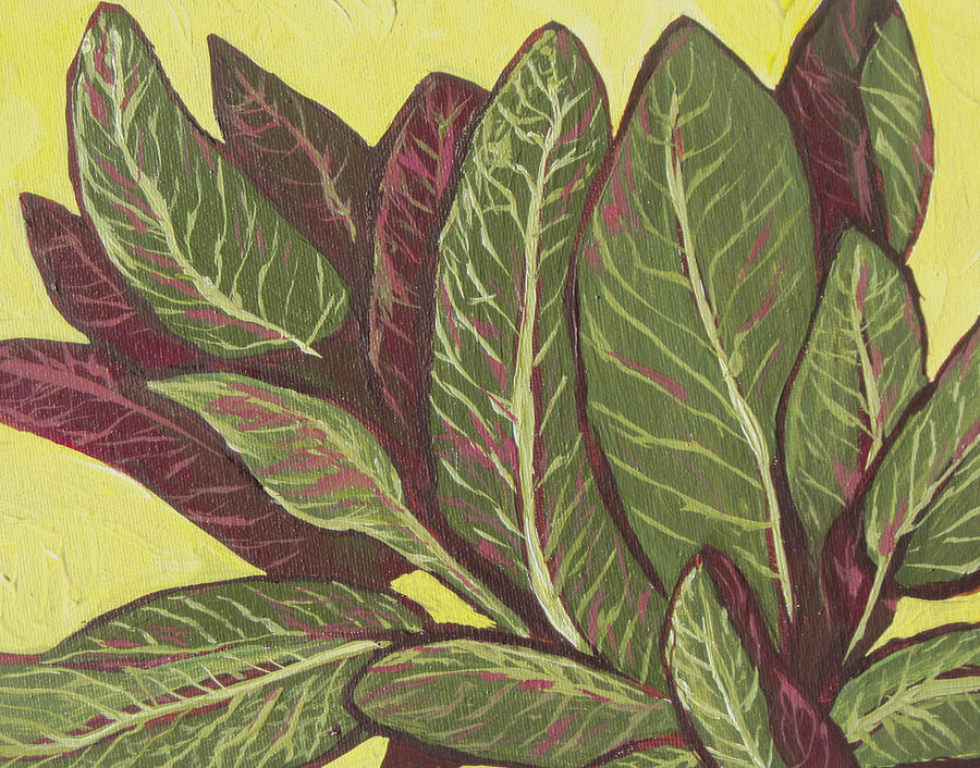 900x706 Sage Painting By Sandy Tracey - Sage Painting