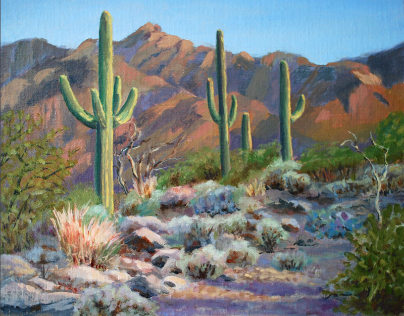 800x625 Linda Petrie Bunch Artist Landscapes Oil Paintings Tucson - Saguaro Cactus Painting