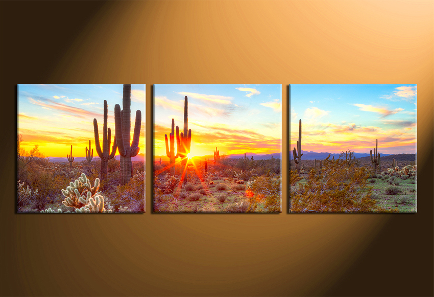 850x581 3 Piece Huge Pictures, Saguaro Cactus Canvas Art Print, Scenery - Saguaro Painting