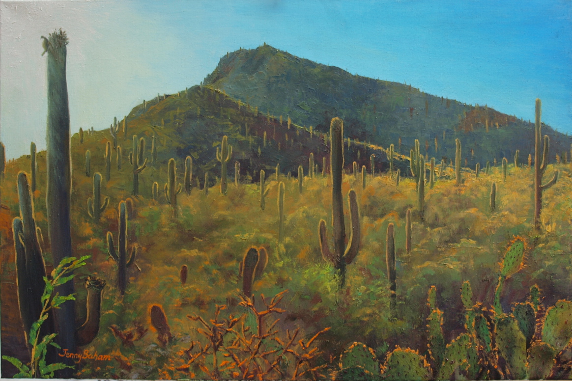 1164x776 Saguaro National Park - Saguaro Painting