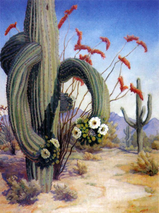 650x870 Tuesday Art Attack Louise Nimmo Scene With Saguaro - Saguaro Painting