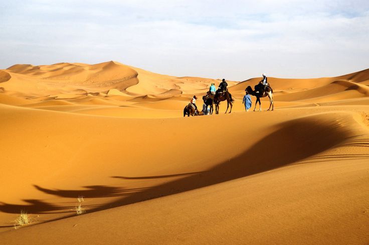 736x490 Sahara Desert Paintings - Sahara Desert Painting