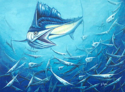437x321 Sailfish Painting - Sailfish Painting