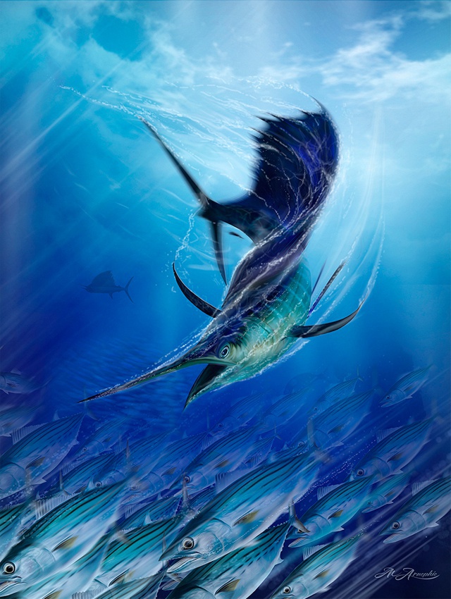 640x850 Seychelles To Feature In Marlin Magazine - Sailfish Painting