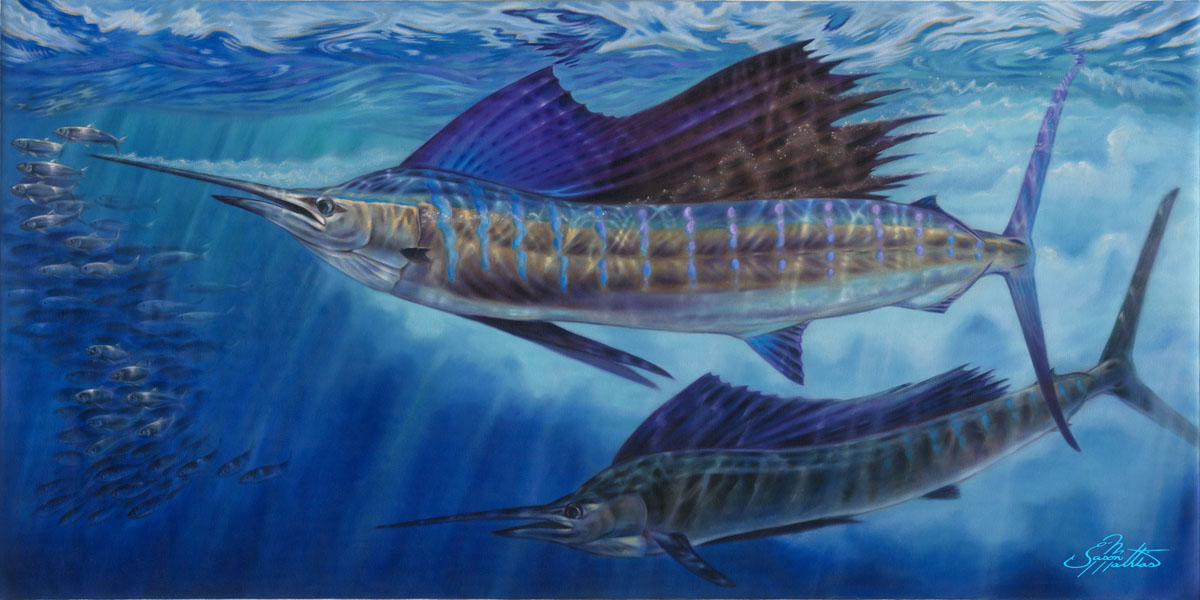 1200x600 Wide Open Sailfish - Sailfish Painting