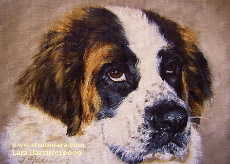 472x337 Meet Roxy The Saint Bernard, Painting In Oil This Is - Saint Bernard Painting