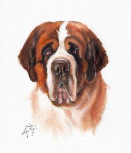 256x300 Original Oil Art Saint St Bernard Portrait Painting Dog Artist - Saint Bernard Painting