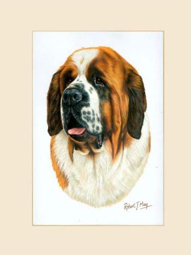 373x498 Original Saint Bernard Painting - Saint Bernard Painting