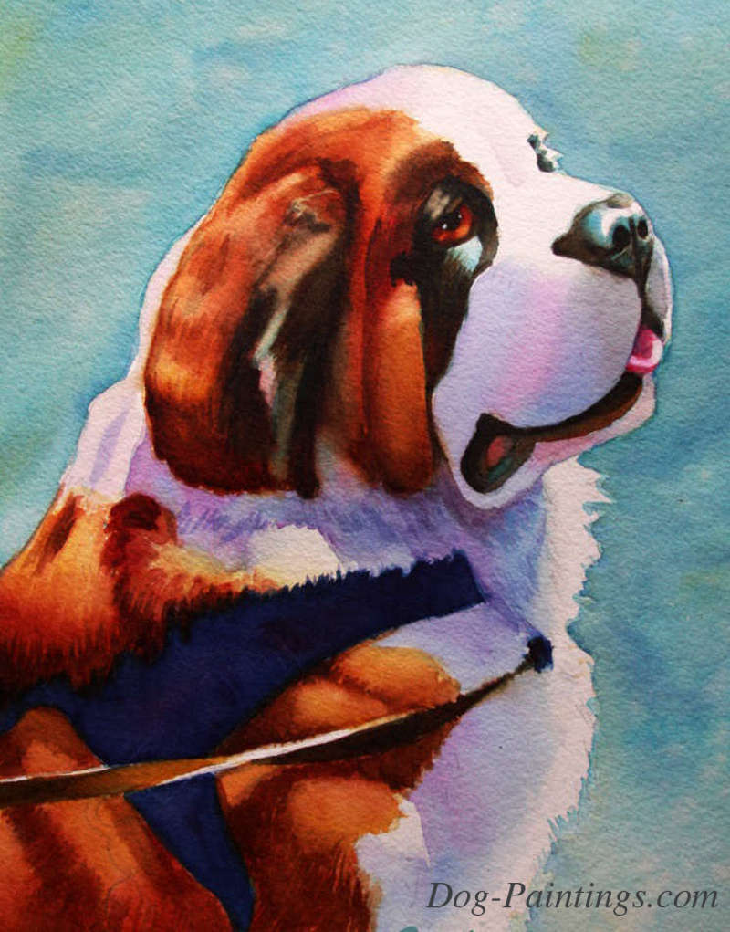 800x1021 Saint Bernard Portrait - Saint Bernard Painting