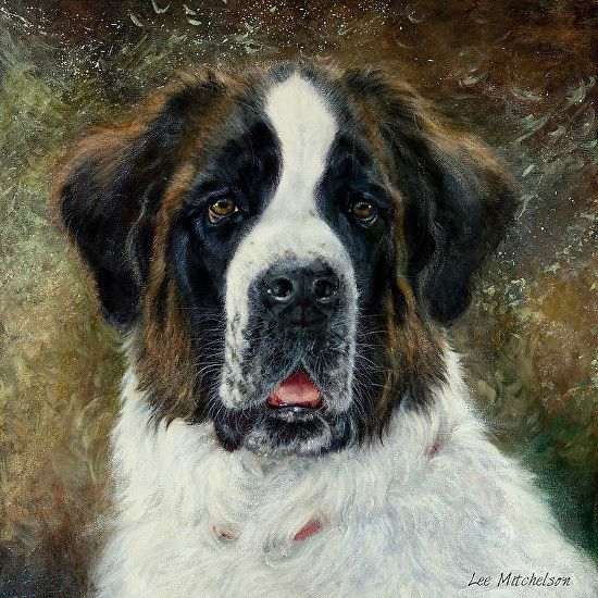 Saint Bernard Painting at Explore collection of