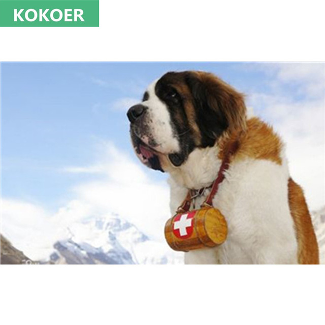 640x640 Full,diamond Embroidery,5d,diamond Painting,animal Saint Bernard - Saint Bernard Painting