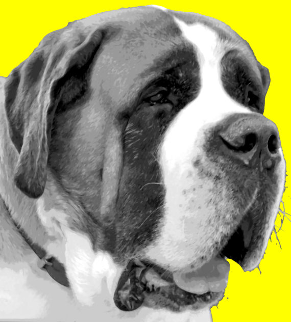 570x632 Gorgeous Saint Bernard Dog Pop Art Painting Paint By Number Kit - Saint Bernard Painting